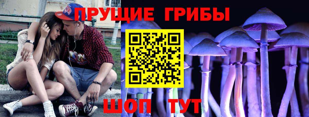 Галлюциногенные грибы GOLDEN TEACHER Гагарин